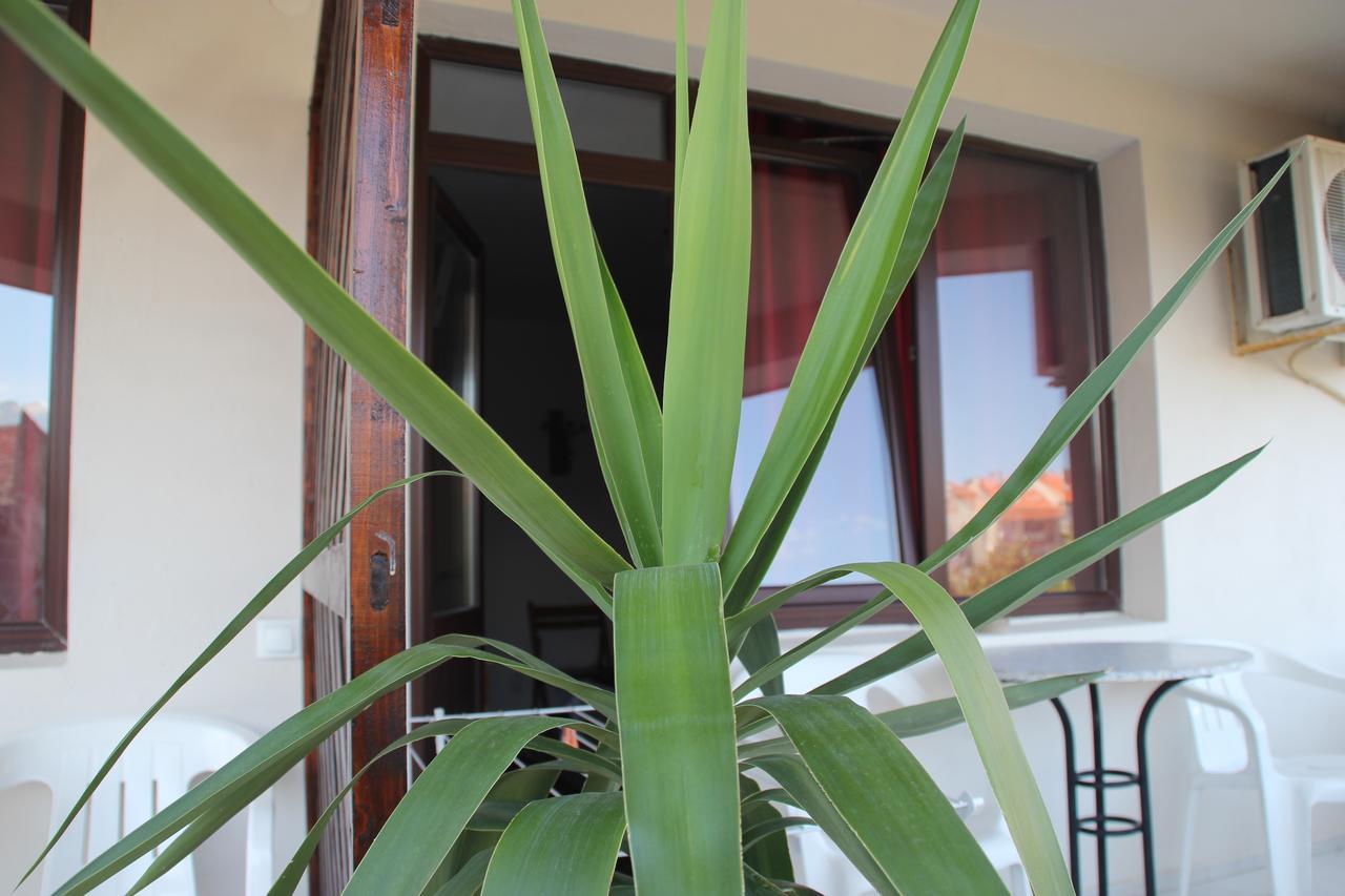 Yankov'S House Hotel Sozopol Exterior foto